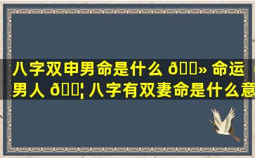 八字双申男命是什么 🌻 命运（男人 🐦 八字有双妻命是什么意思）